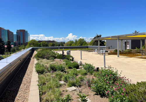 Green Roof event 3