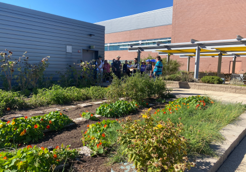 Green Roof event 4