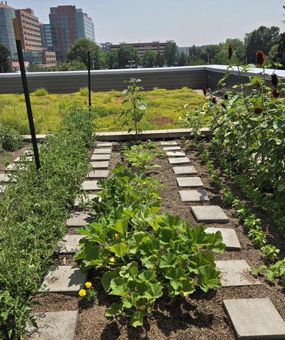 GardenRow