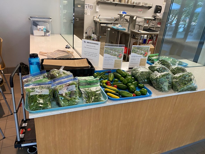 gardenharvest