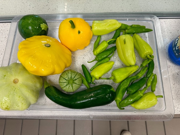 SquashandPeppers