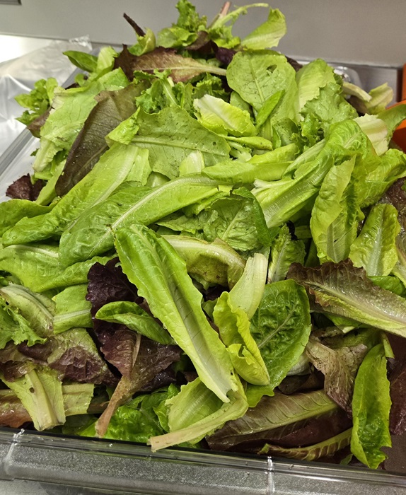 WashedLettuce