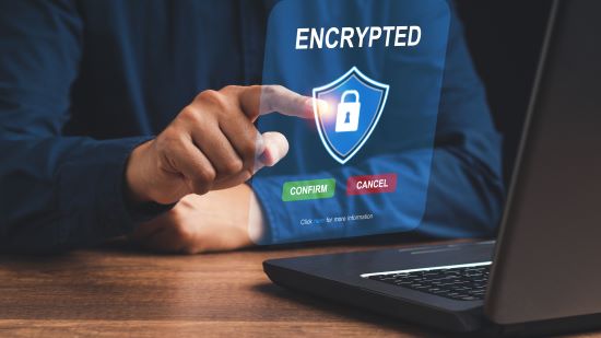Image of a person clicking a button to encrypt their computer.