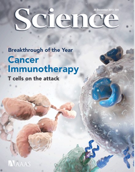 cover of Science magazine declaring 'Cancer Immunotherapy' as the breakthrough of the year