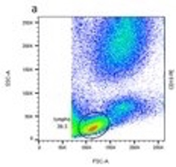 Flow plot