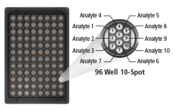 Immunoassays 1