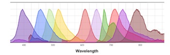 Spectrum