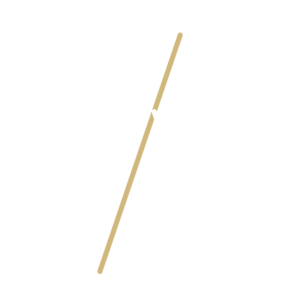 Visual Brand