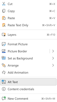 Image menu showing alt text option