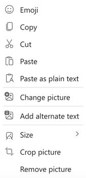 Image menu with add alternate text option