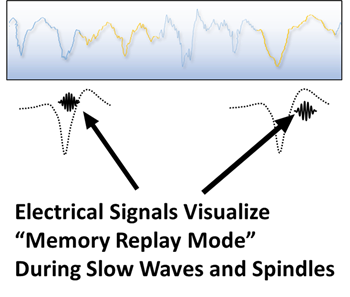 Sleep webpage image 2