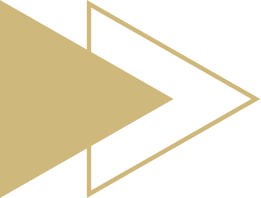 Arrow Icon