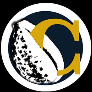 Cowrie Talent Solutions, LLC Logo.