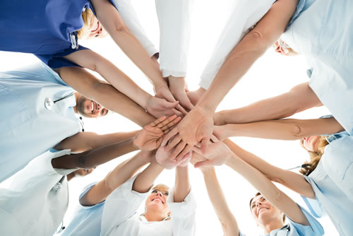 Our Team
