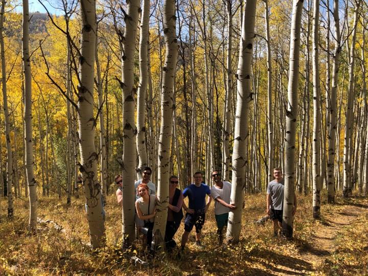 HikingintheAspenTrees