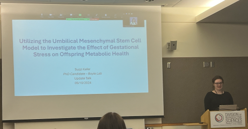 Suzzi Kafer presenting