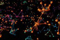 Computational Biology