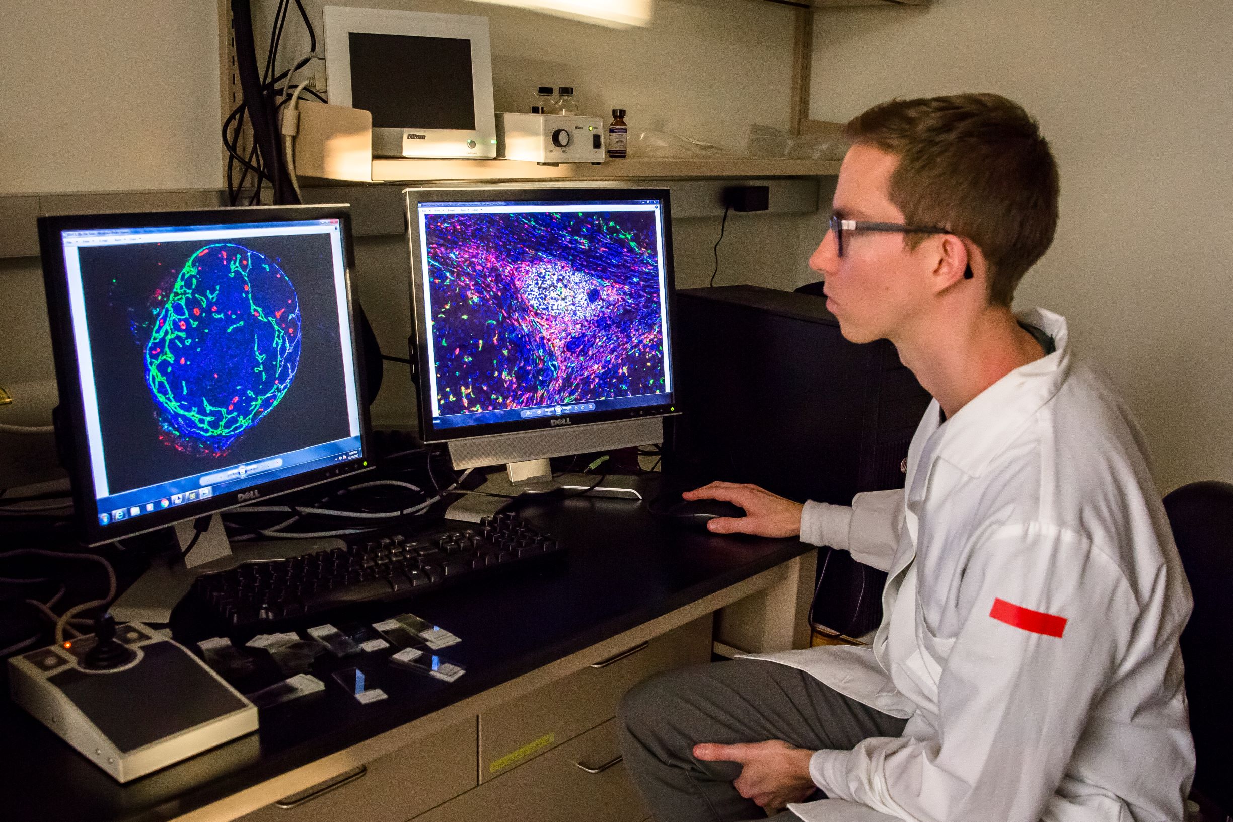 Imaging Imaging