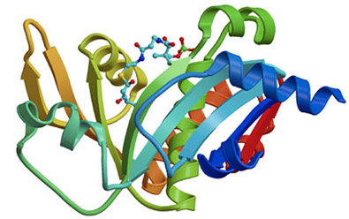 StructuralBiology