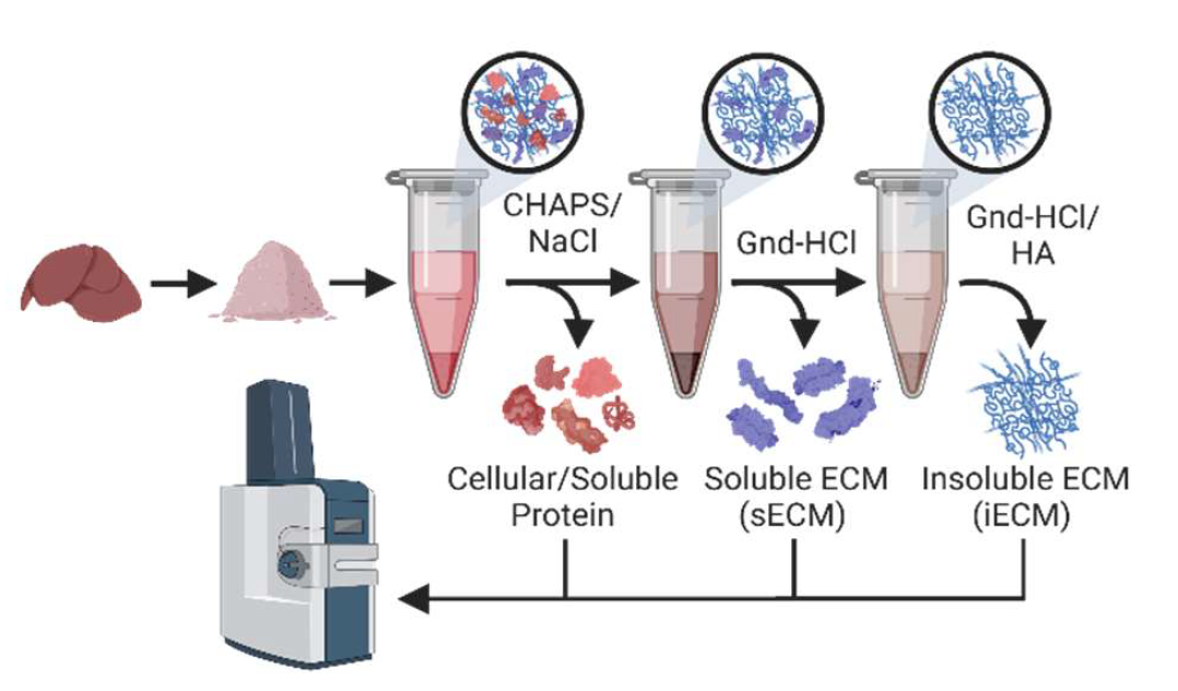 ECMprotocol