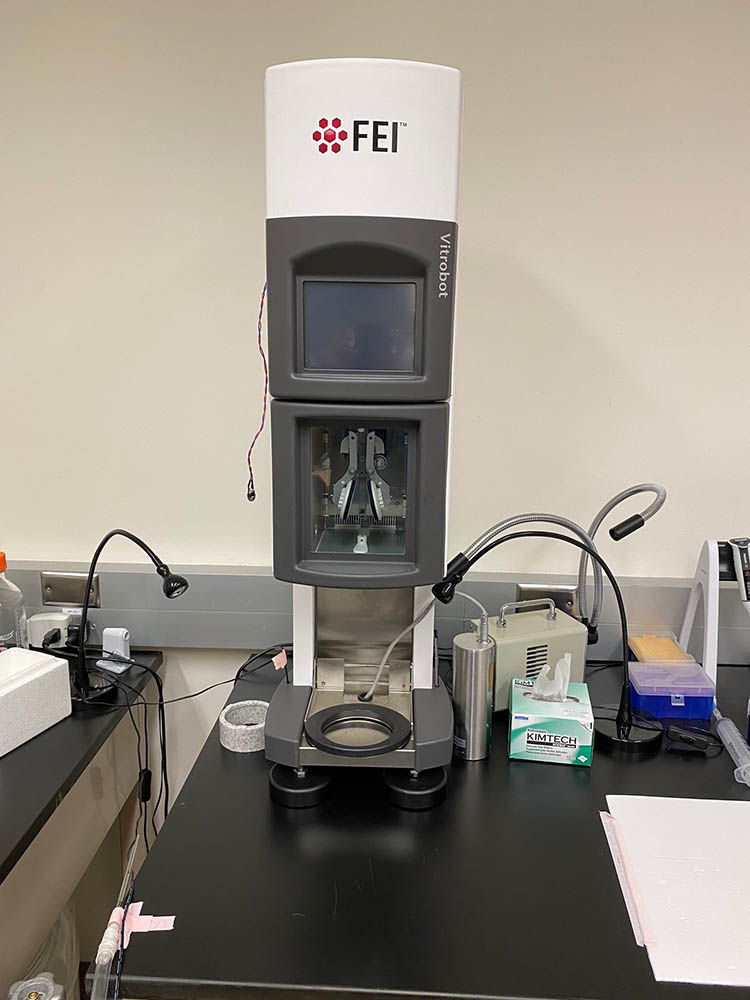FEI Vitrobot
