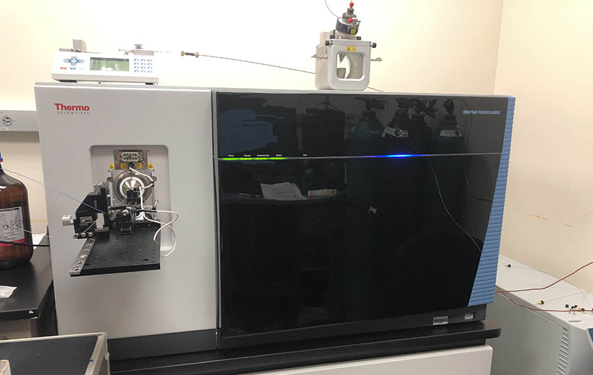Orbitrap Fusion Lumos mass spectrometer