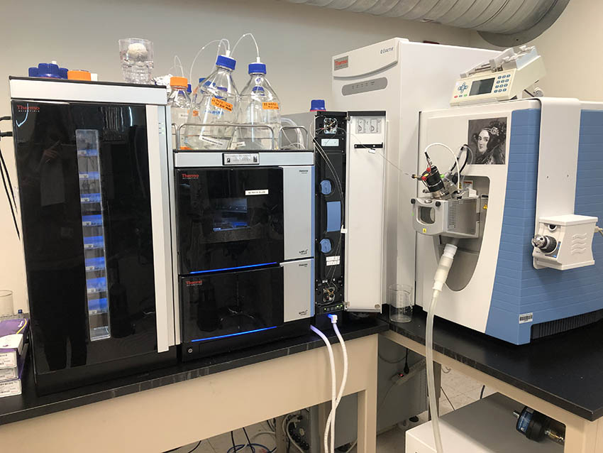 Q Exactive mass spectrometer with Vanquish UHPLC