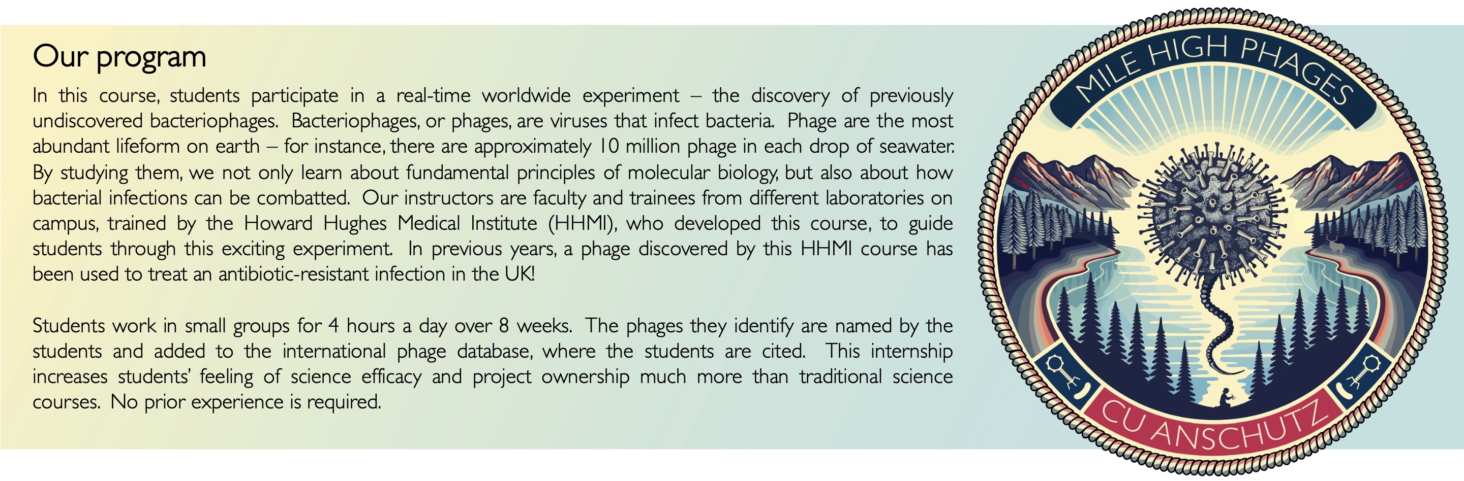 Our program: In this course, students participate in a real-time worldwide experiment – the discovery of previously undiscovered bacteriophages.  Bacteriophages, or phages, are viruses that infect bacteria.  Phage are the most abundant lifeform on earth – for instance, there are approximately 10 million phage in each drop of seawater.  By studying them, we not only learn about fundamental principles of molecular biology, but also about how bacterial infections can be combatted.  Our instructors are faculty and trainees from different laboratories on campus, trained by The Howard Hughes Medical Institute (HHMI), who developed this course, to guide students through this exciting experiment.  In previous years, a phage discovered by this HHMI course has been used to treat an antibiotic-resistant infection in the UK!   Students work in small groups for 4 hours a day over 8 weeks.  The phages they identify are named by the students and added to the international phage database, where the students are cited.  This internship increases students’ feeling of science efficacy and project ownership much more than traditional science courses.  No prior experience is required.