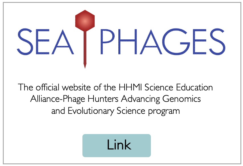 Sea Phages Image