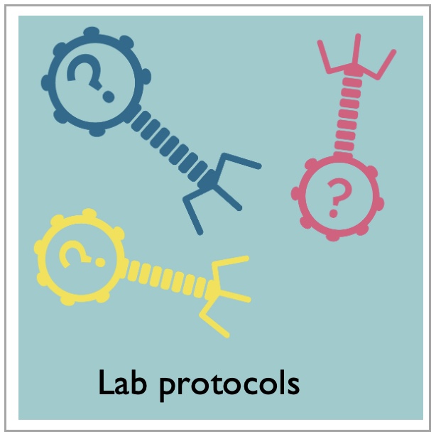 Lab Protocols