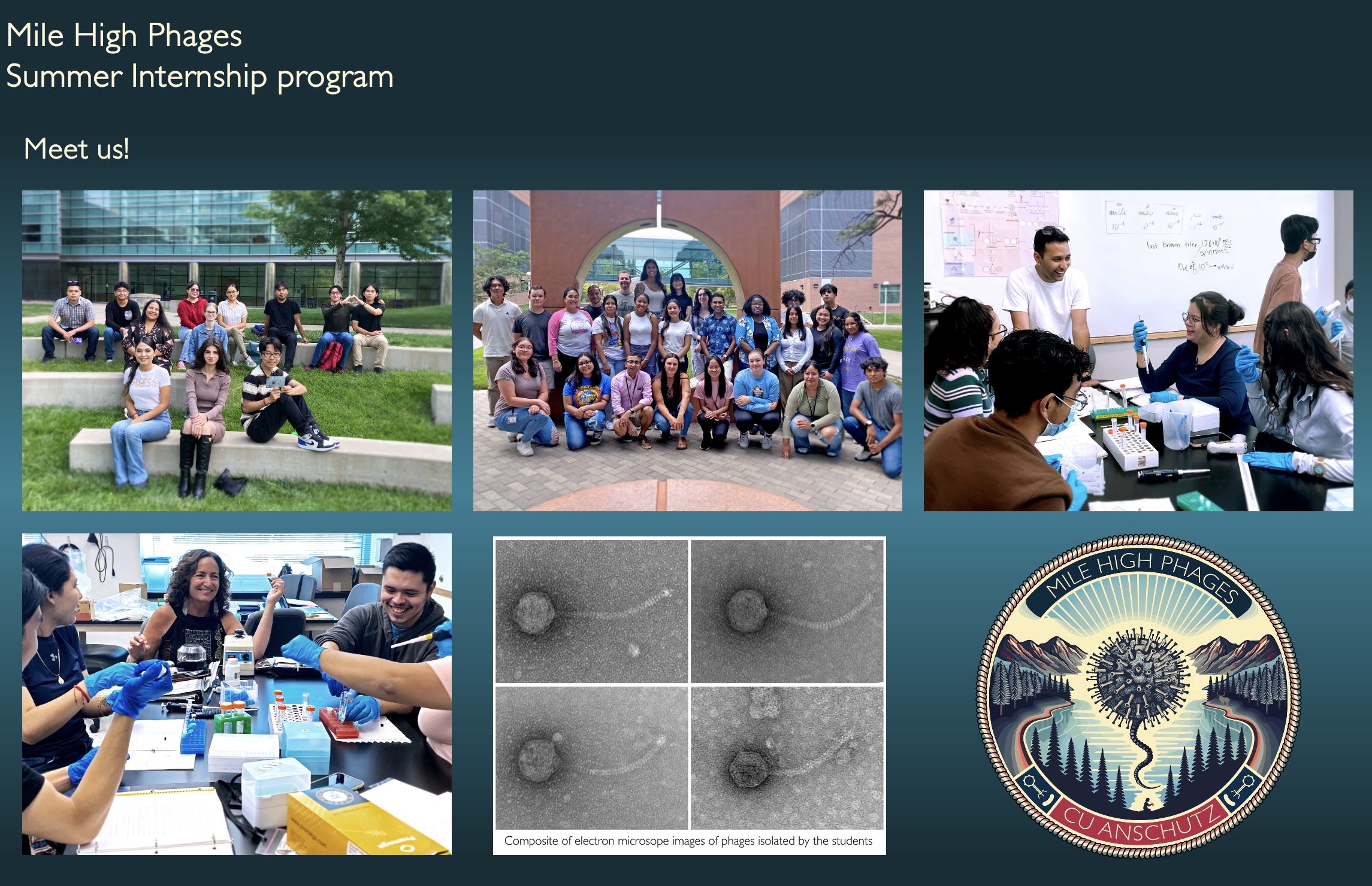 Meet Us photos. Shows six photos. Four photos showing previous interns in the lab and two photos of all the interns outside. One photos shows the composite of electron microscope images of phages isolated by the students. The last photo is a logo of the Mile High Phages CU Anschutz logo.