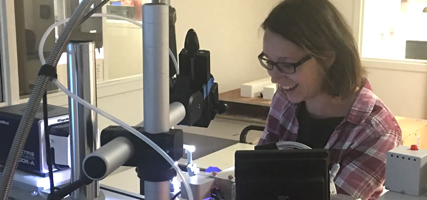 Anna-Lena Steckelberg - postdoc