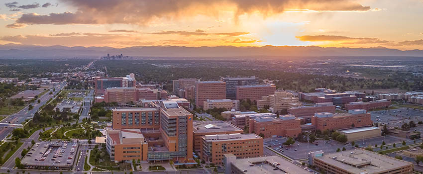 Campus sunset