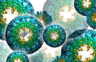 genomics image 1