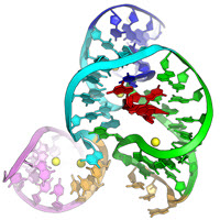 macromolecular structure 2