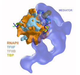 Mediator_PIC