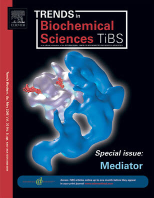 Mediator_Regulation
