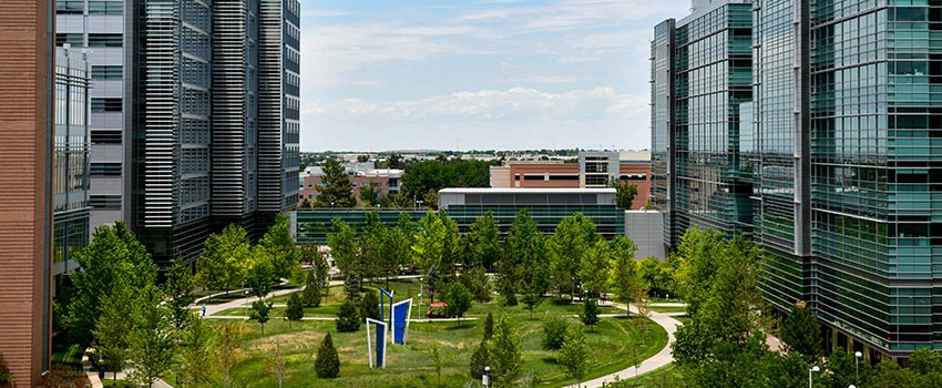 Research Quad (850 x 350)