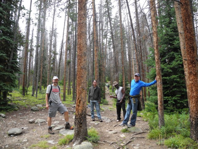 Lab Camping 2014 4_JPG