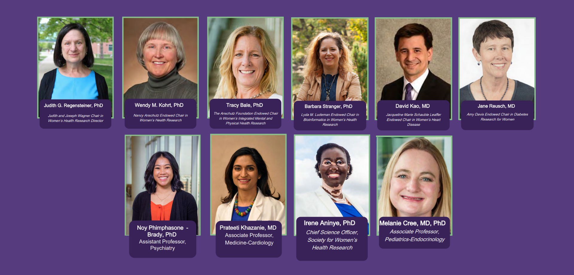 Profile images of Ludeman Center endowed chairs and scientists.