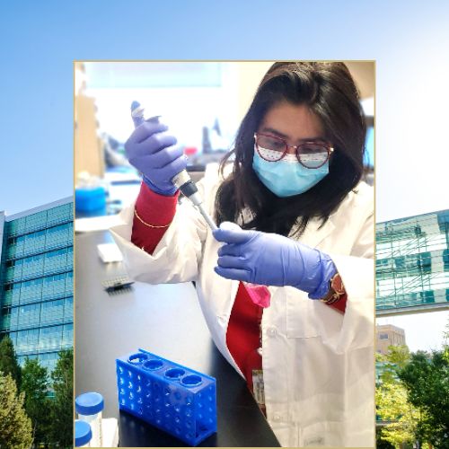 A scientist performs a test at a bench within the Division of Renal Diseases and Hypertension lab.