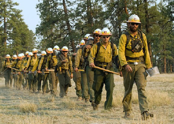firefighters
