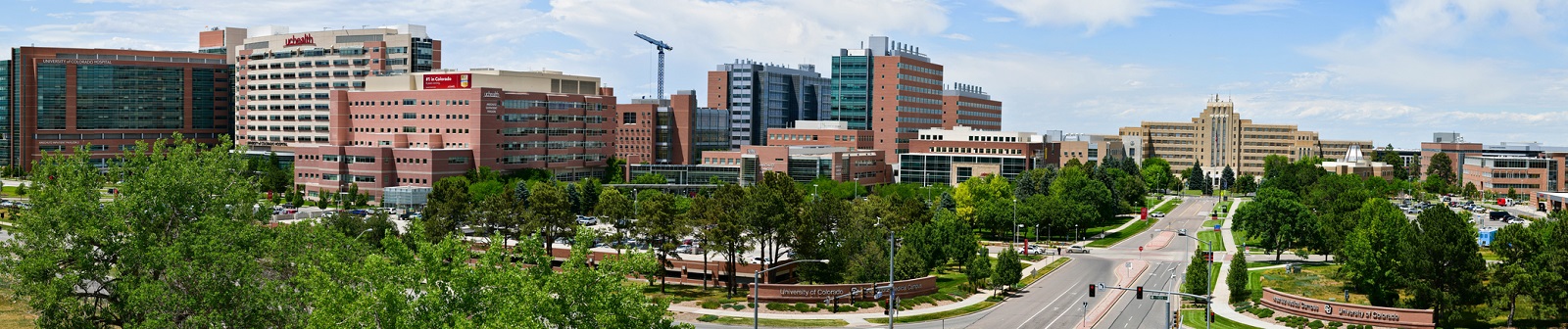 Campus-Beauty-Summer-2-2100x442-04a3efed-2663-43d3-adcb-46115cb89c80