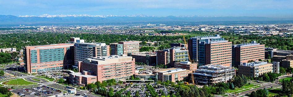 clinical_montage_smaller