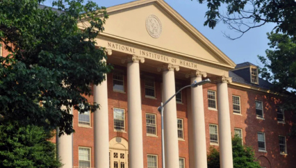 courthouse with pillars
