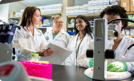 researchers gathered talking