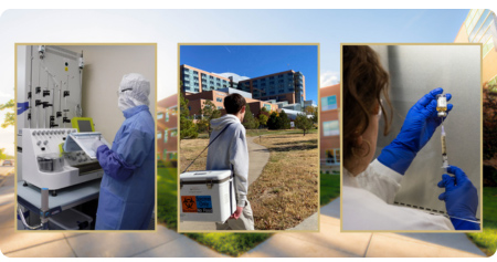 researchers in lab tryptych