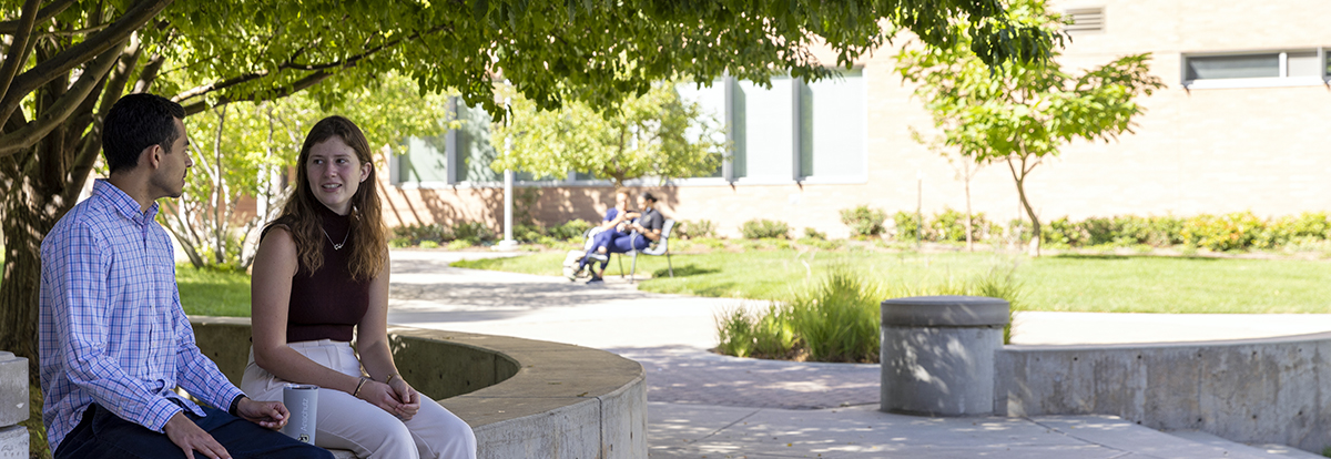 two students sitting on campus beneath tree