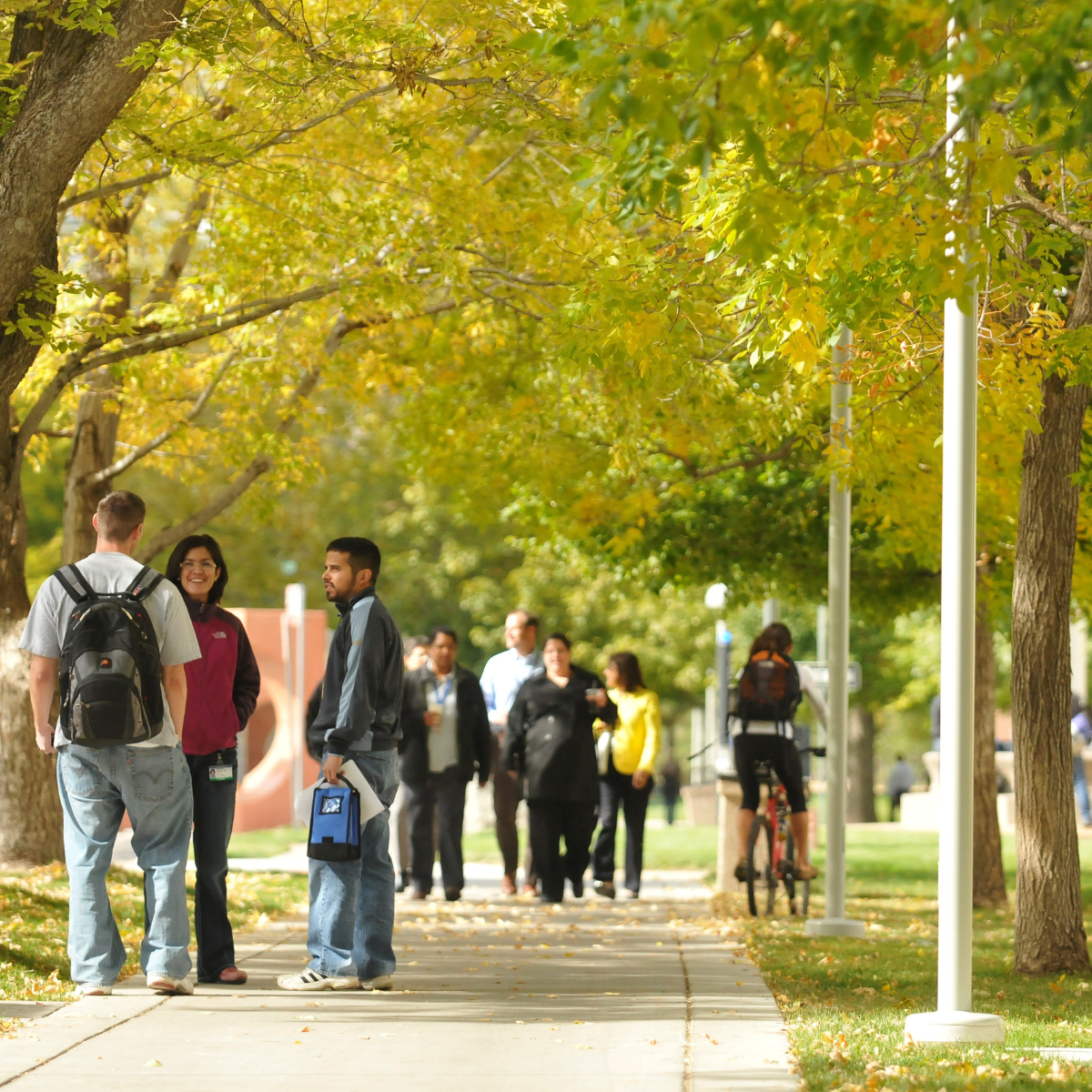 People talk under fall trees