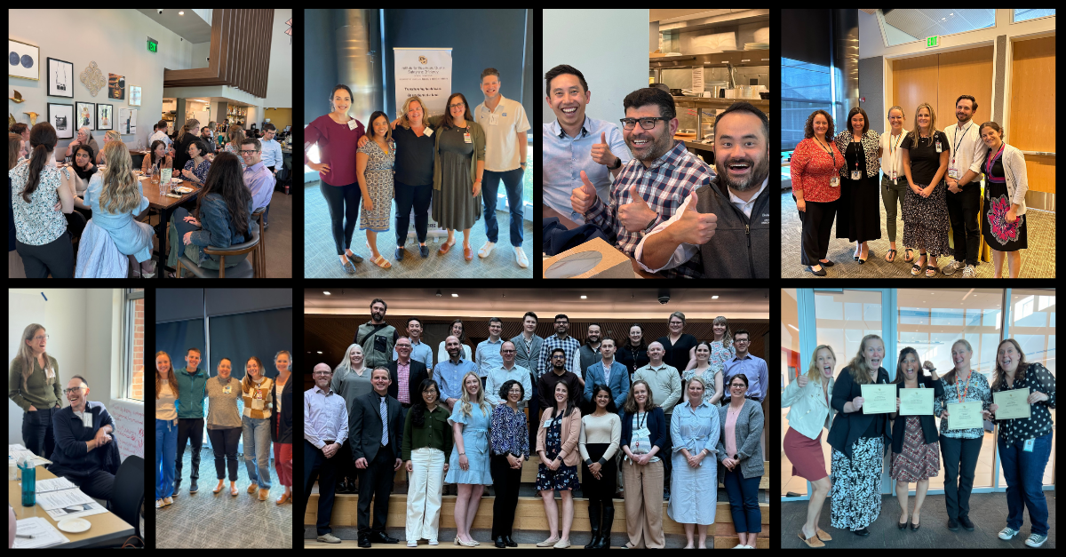 Collage of IHQSE participants